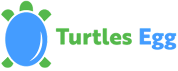 Turtles Egg